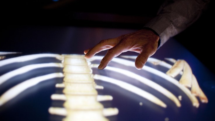 Person interacting with light table