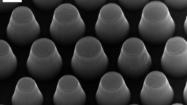 Microscope image of chimney-shaped nanopillars.