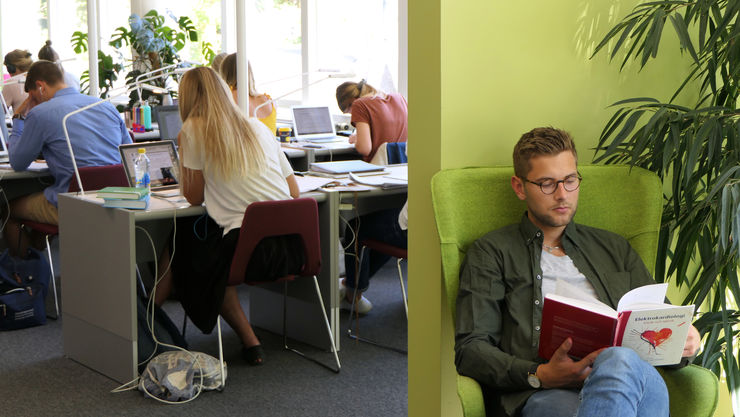 People studying in the Library.