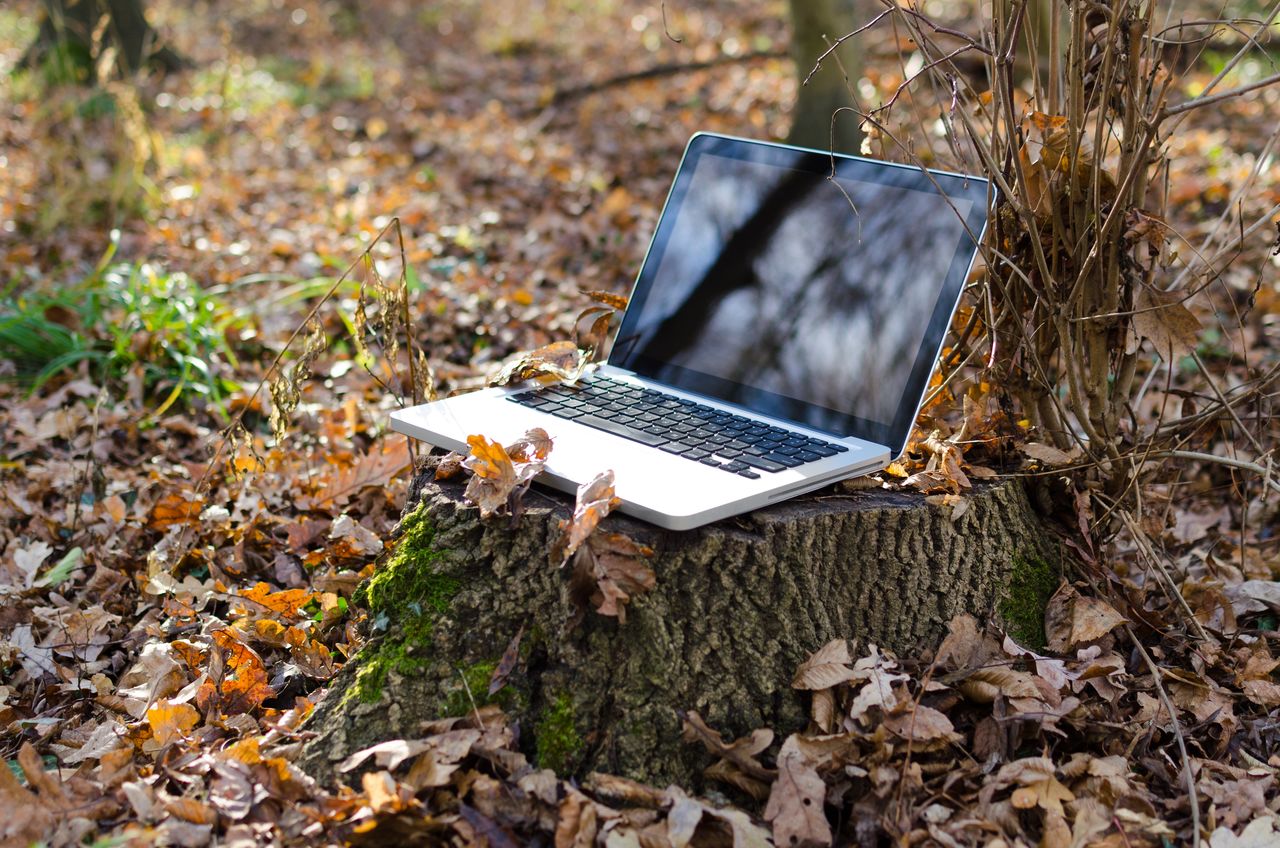 A laptop on a stump with autumn leaves on the ground.