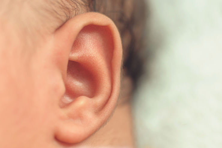 Ear of a small newborn child close-up. A little hair os visible too