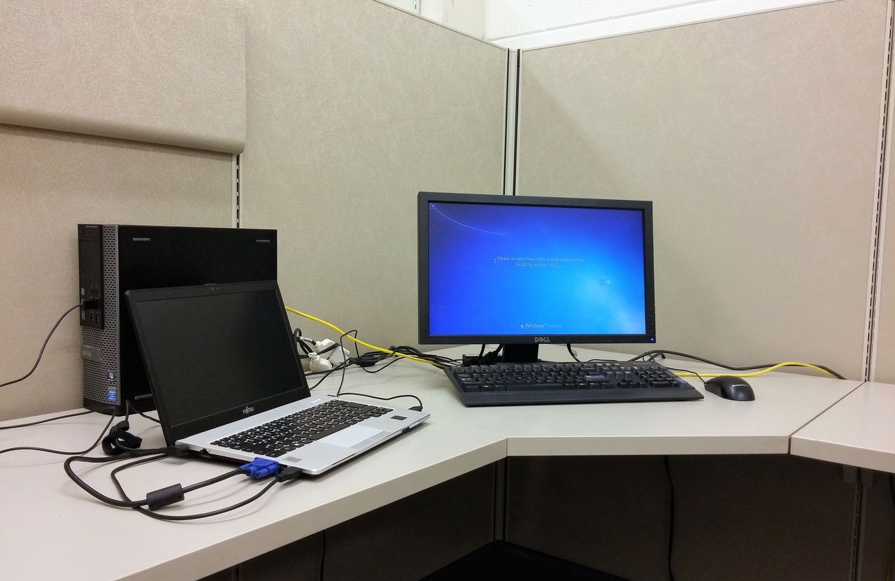 universitetsmiljö USA