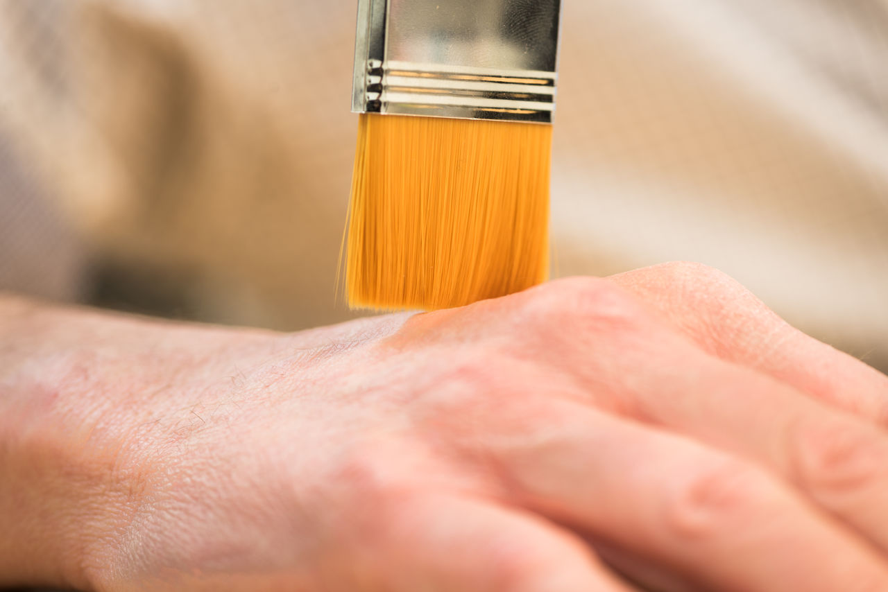 The Morrison Lab: The Embodied Brain Lab. 