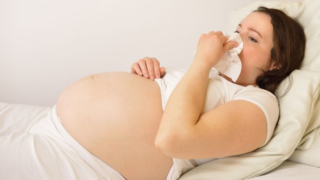 Gravid kvinna snyter sig
