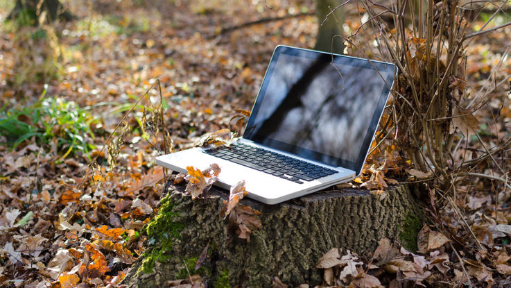A laptop on a stump surrounded with autumn leaves on the ground.