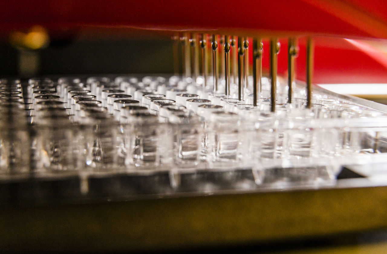 Blood samples for allergy research.