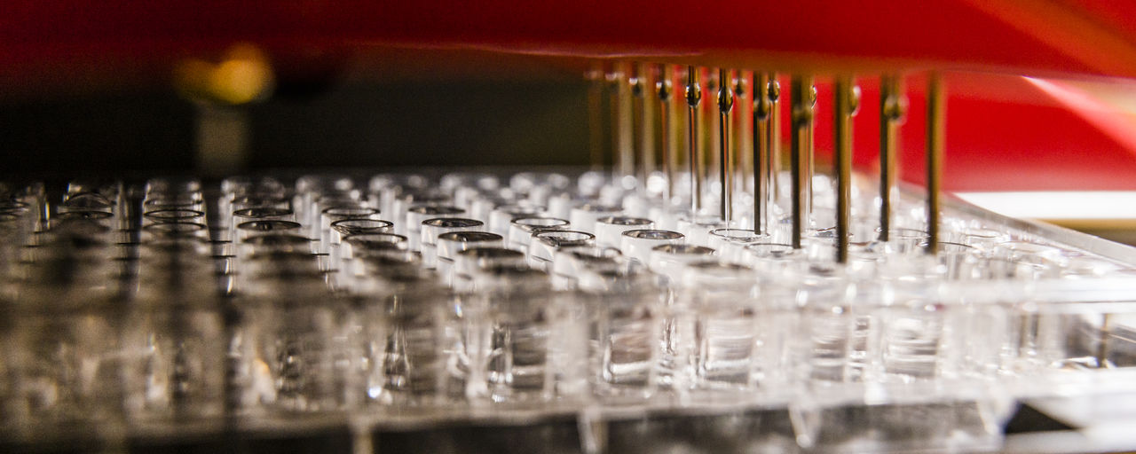 Blood samples for allergy research.