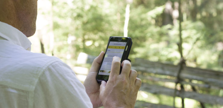 En man sitter på en bänk i skogen och surfar på mobiltelefon