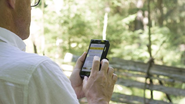 En man sitter på en bänk i skogen och surfar på mobiltelefon