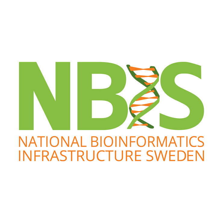 NBIS logotyp