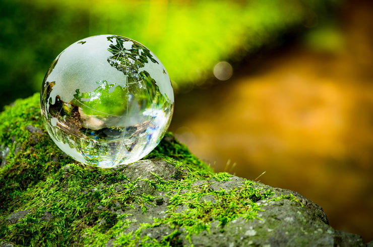 earth globe of glass in the woods