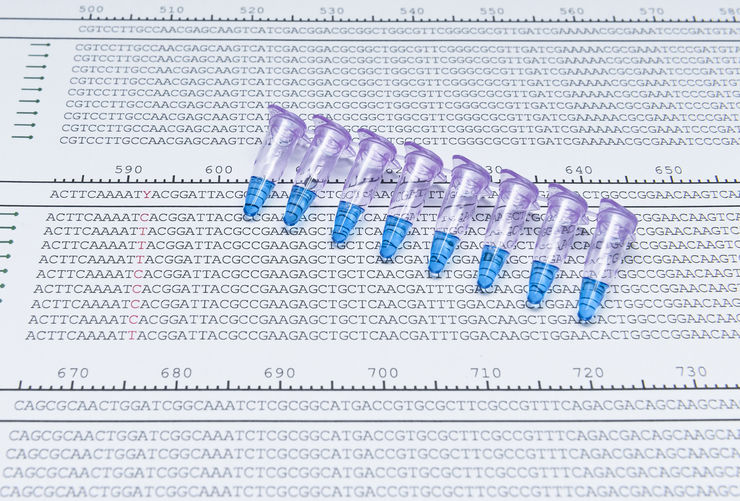 En DNA-sekvens utskriven på papper