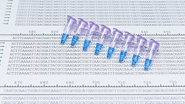 En DNA-sekvens utskriven på papper
