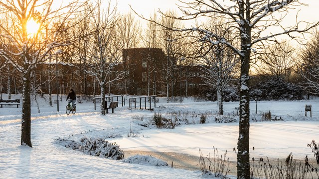 Bild på Campus Valla täckt i snö.