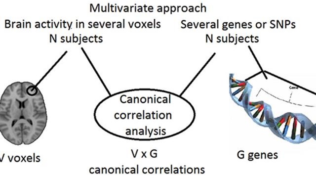 Grafik som förklarar canonical correlation analysis