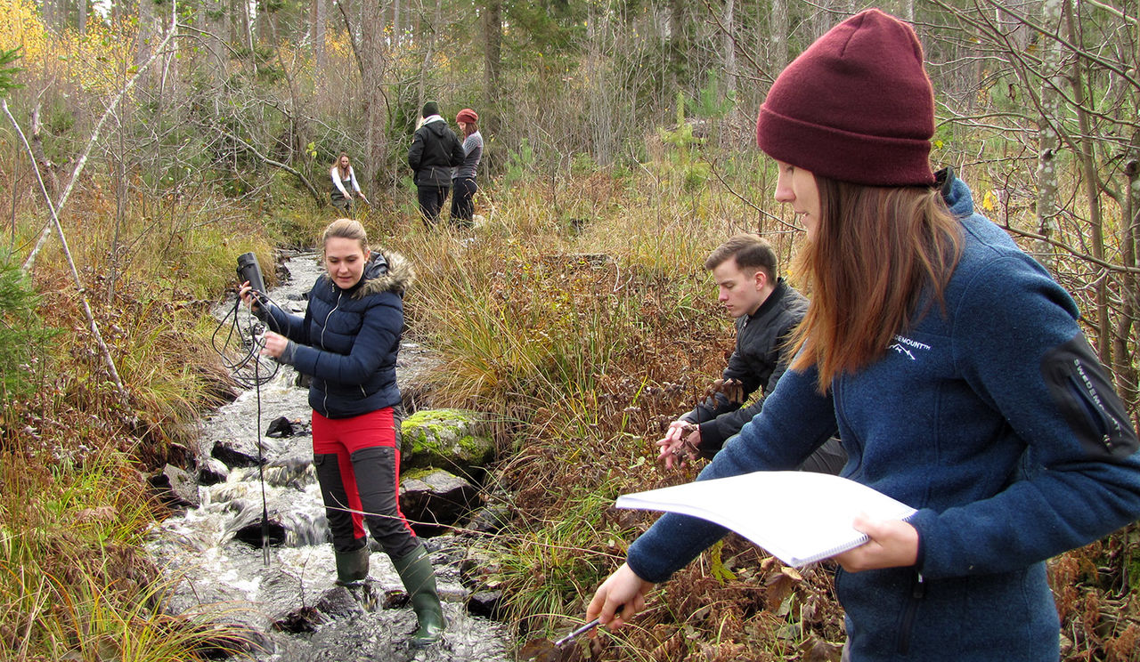 Biologistudenter på exkursion. Foto: Karolin Storck