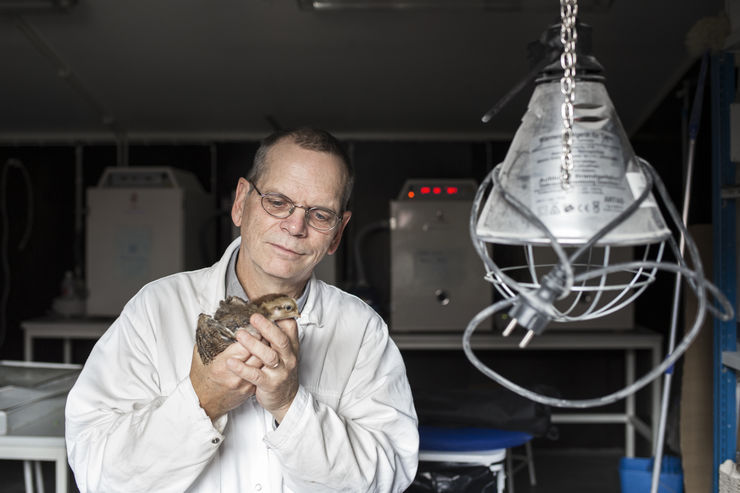 Man in a white coat holding a chicken