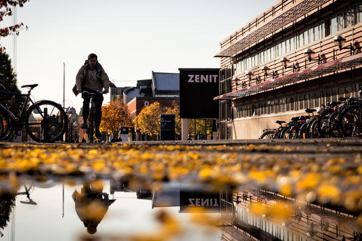 The picture is taken from ground level, the environment is mirrored in a puddle. Yellow leaves are on the ground. In the background a person on a bike and a campus building.