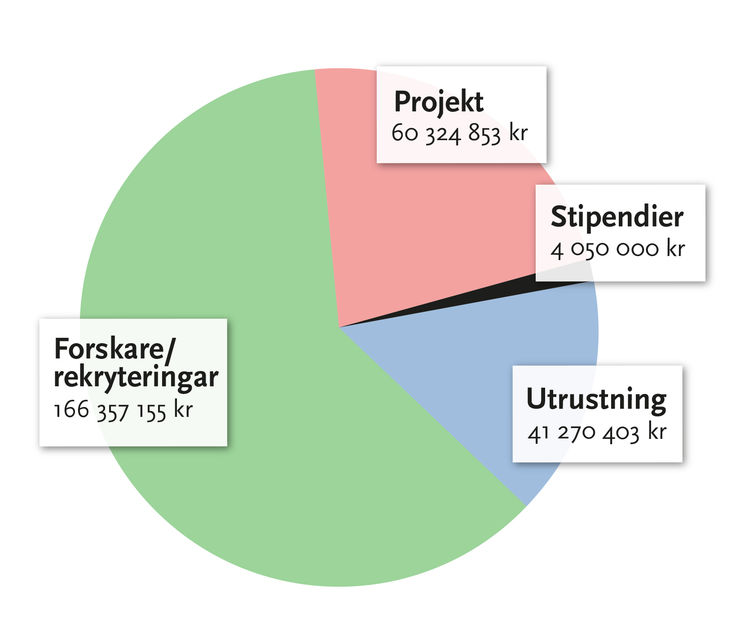 Graf för kampanjen Expanding Excellenc