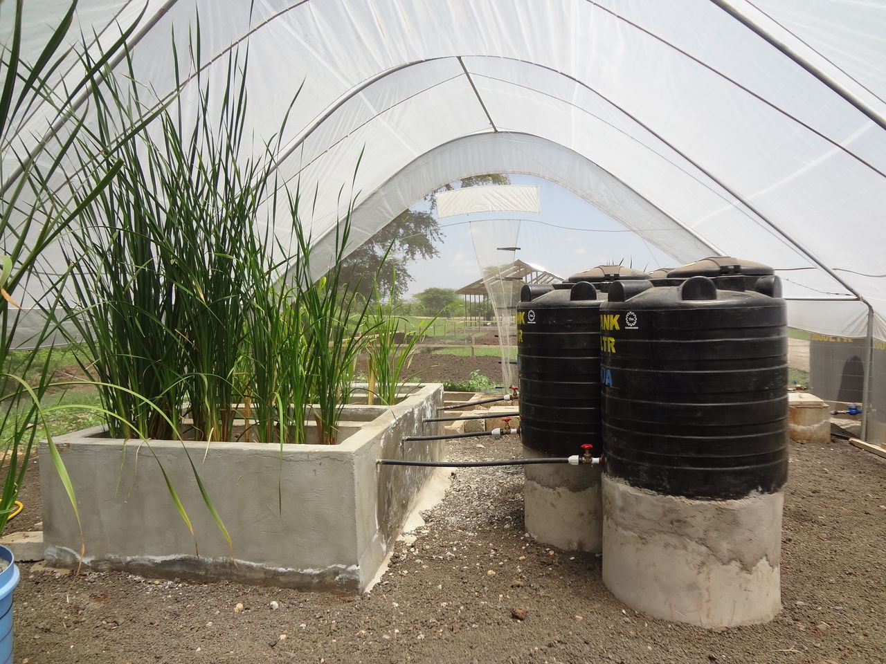 Construction for a wetland