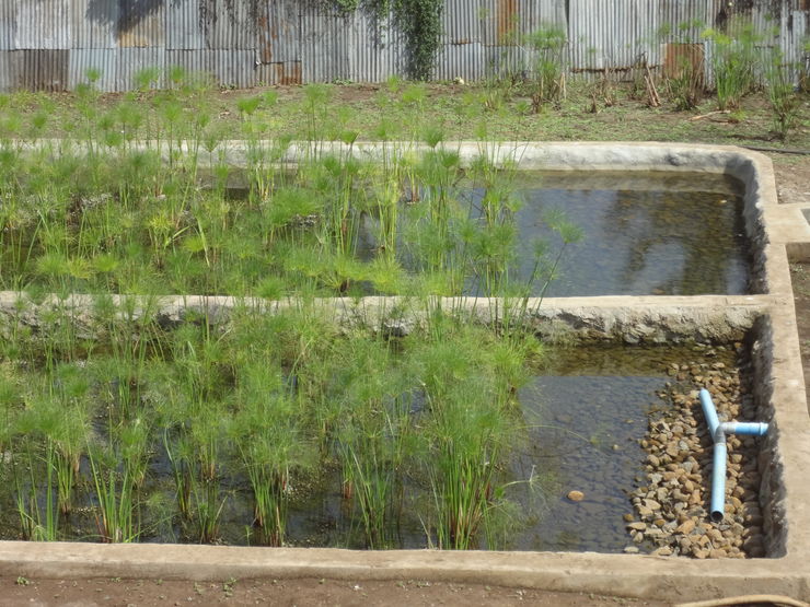 Construction for a wetland