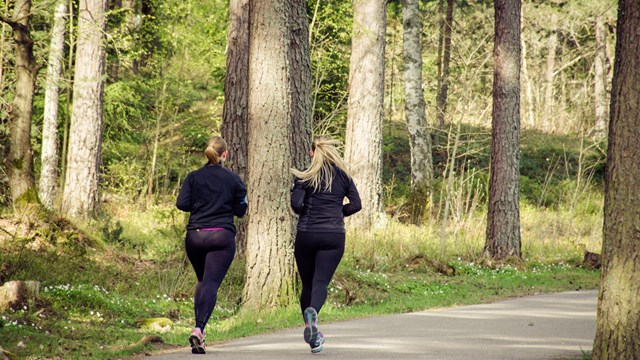 Två löpare på en skogsväg