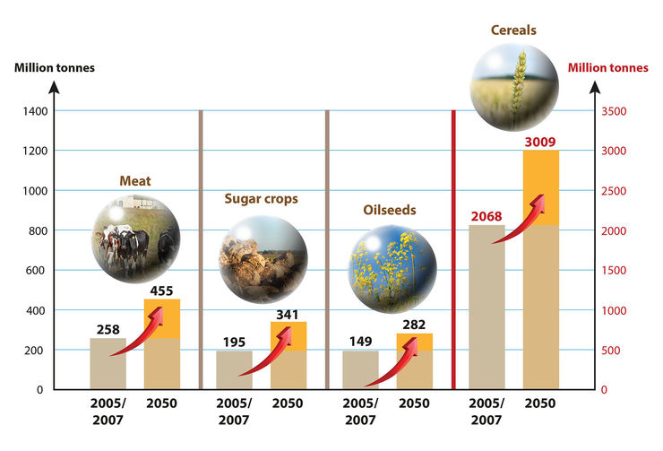 The UN assessment of necessary increases in various agricultural products