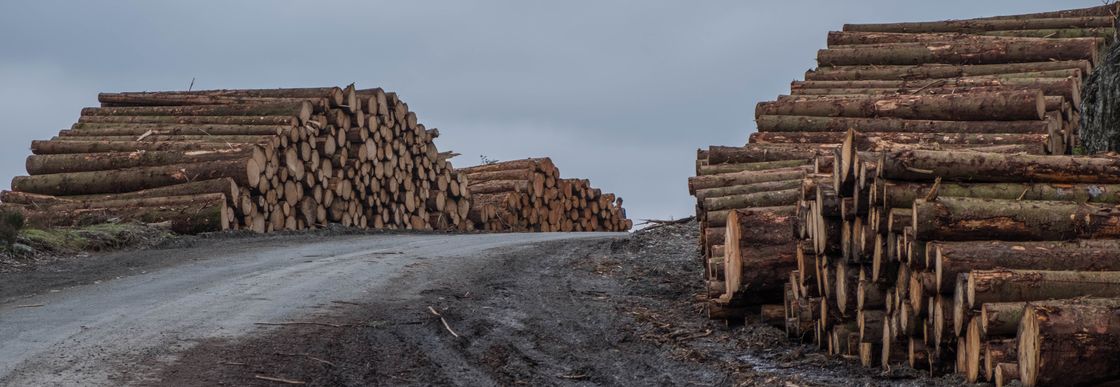 Bioenergy - Forskarskola energisystem