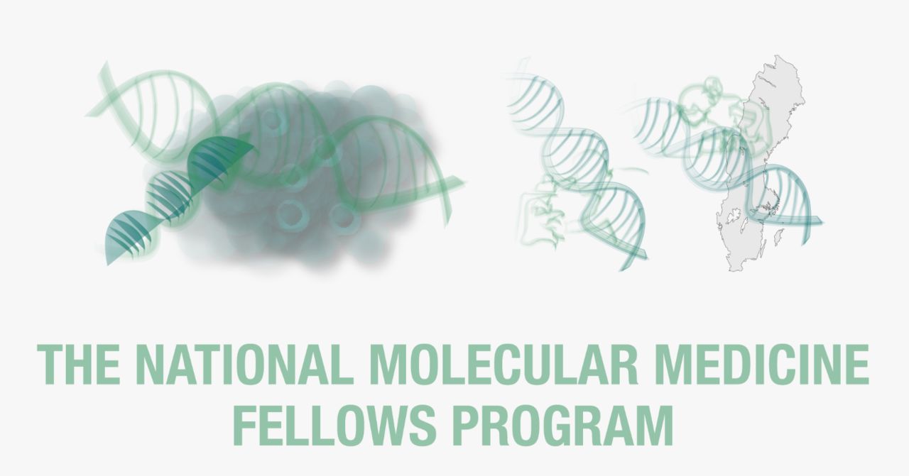 National Molecular Medicine Fellows Program 2019