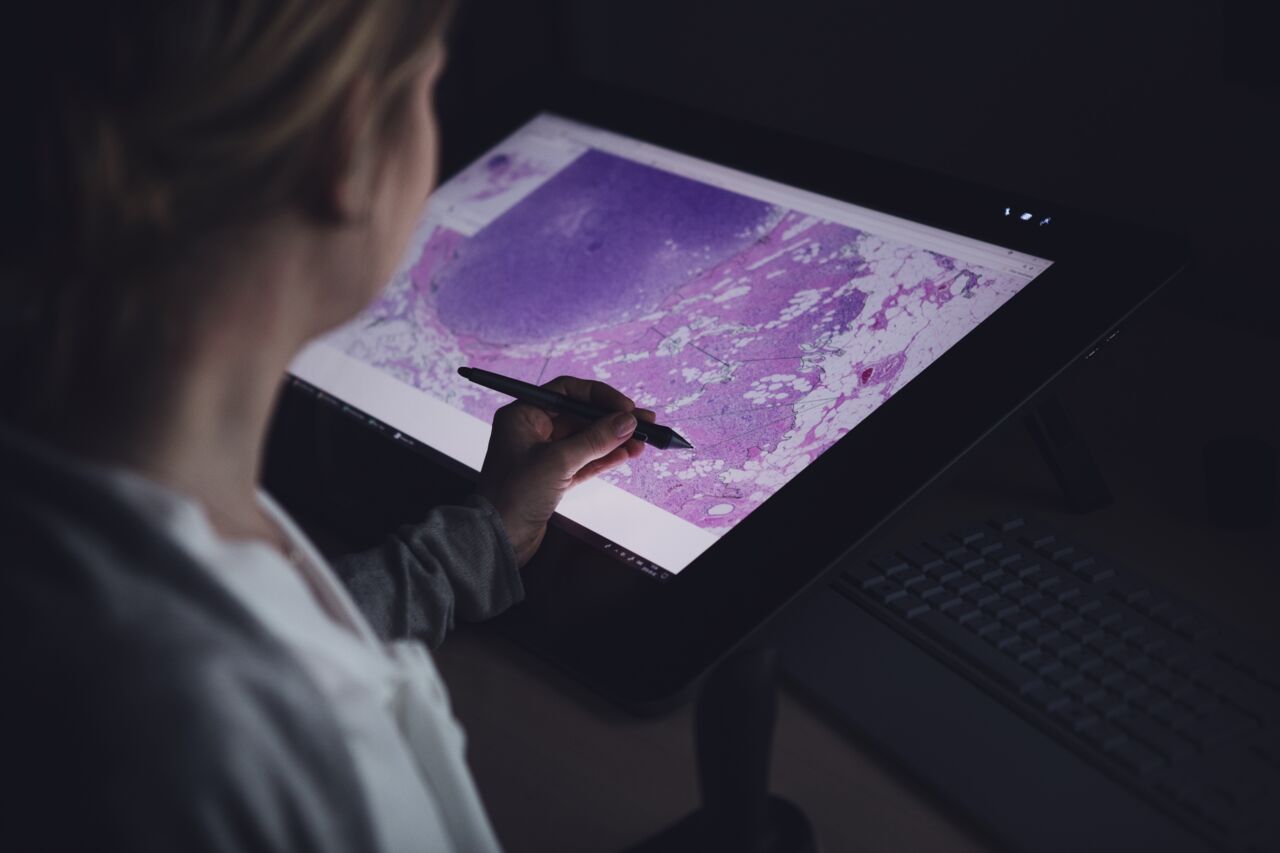 Annotering av patologibild