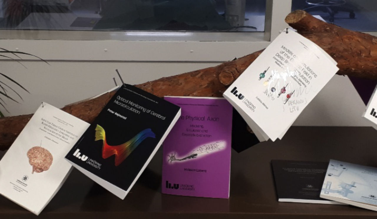 Neuroengineering lab thesis