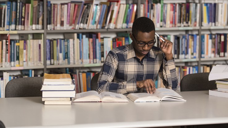 Pupil studying