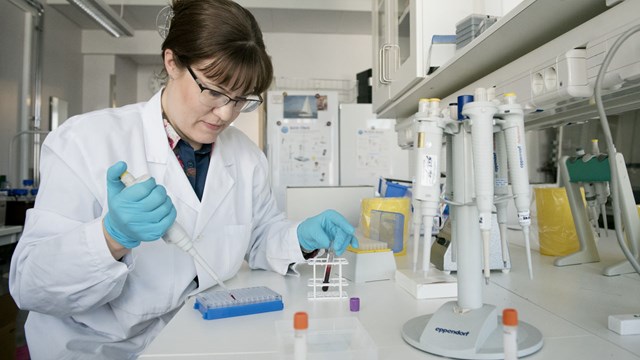 Malin Lindqvist Appell arbetar med ett blodprov i labbet.