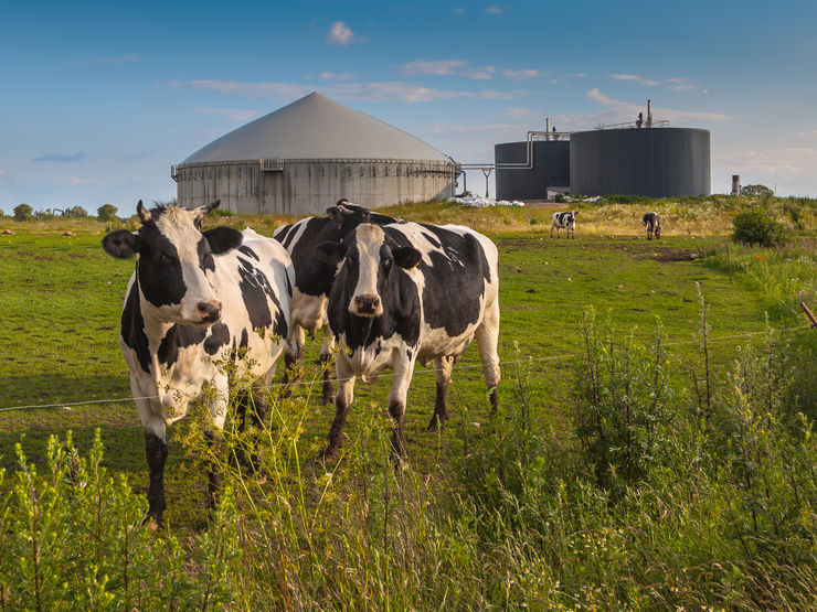 Bio Gas Installation on a farm processing Cow Dung