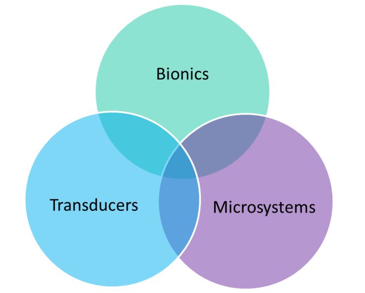 graphic showing the three research areas