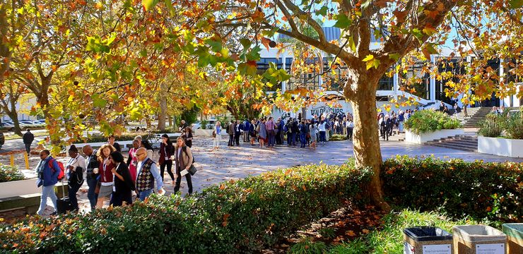 Stellenbosch university Sydafrika