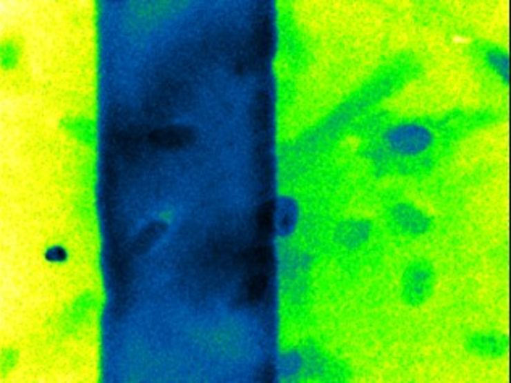 Mechanostimulation chips