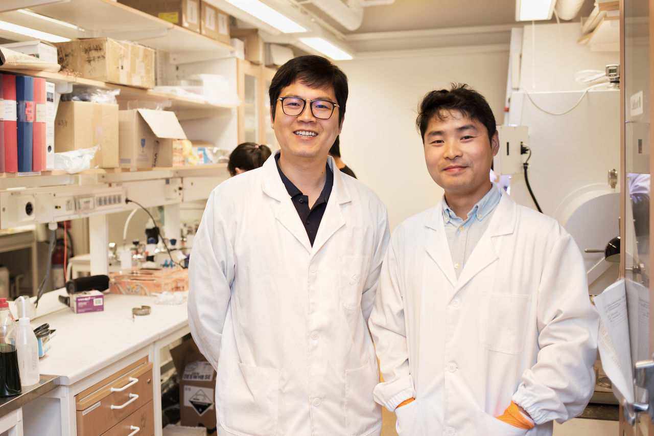 Sai Bai och Zhongcheng Yuan, Biomolekylär och organisk elektronik; Biomolecular and Organic Electronics