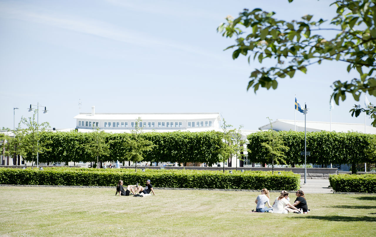 Campus de Link&ouml;ping