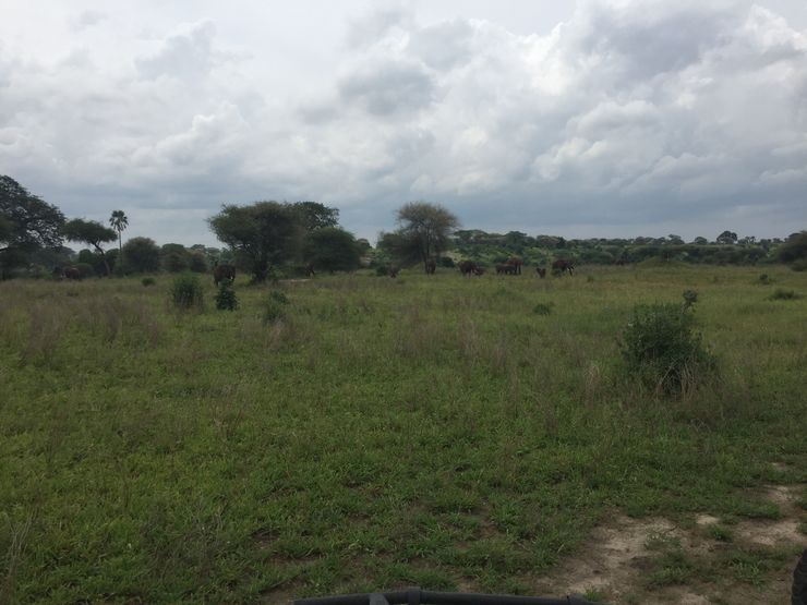 Landscape in Tanzania