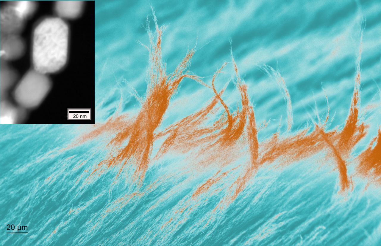 Coloured SEM image of unique truss like structures