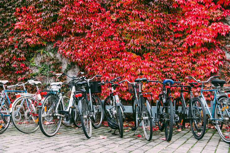 Rad av cyklar parkerade i ett cykelställ