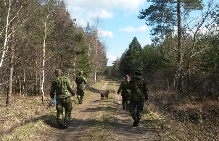 Sökning efter en försvunnen person