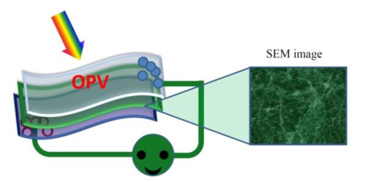 Ultrabright semiconducting polymer dots (Pdots) for specific cancer cell targeting