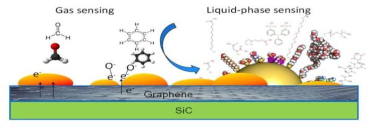 Graphene-nanoparticle hybrid gas sensor