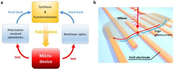 (a) Summary of our research program, and (b) a schematic illustration of a spin/polarization-sensitive optoelectronic device exploring the potential TI phase in MXene.