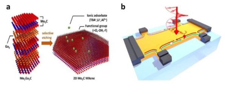 Brief summary of a) material synthesis and functionalization b) spin-sensitive optoelectronic device exploring the potential TI phase in MXene.