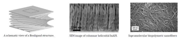 schematic view of a Bouligand structure, SEM image of columnar helicoidal InAlN, supramolecular biopolymeric nanofibres