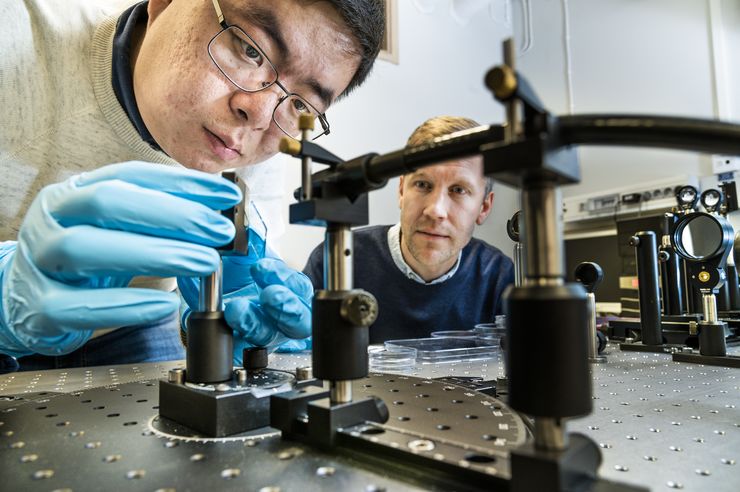 Shangzhi Chen, doktorand och Magnus Jonsson, som leder gruppen inom organisk fotonik och nanooptik vid Laboratoriet för organisk elektronik