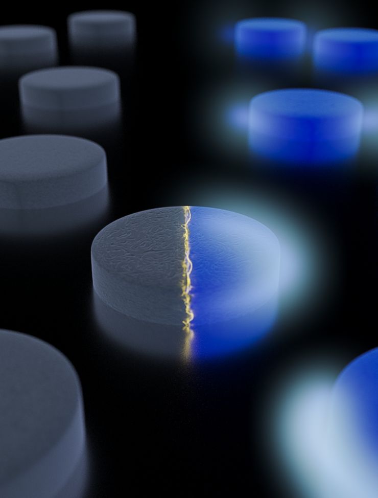 Around billions of nanodisks deposited onto area of 1 cm2. Each one of them reacts to the incident light and creates plasmons. 